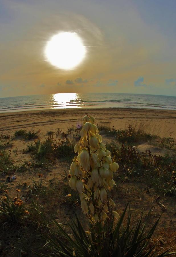 Cilentosia Bed & Breakfast Agropoli Eksteriør bilde